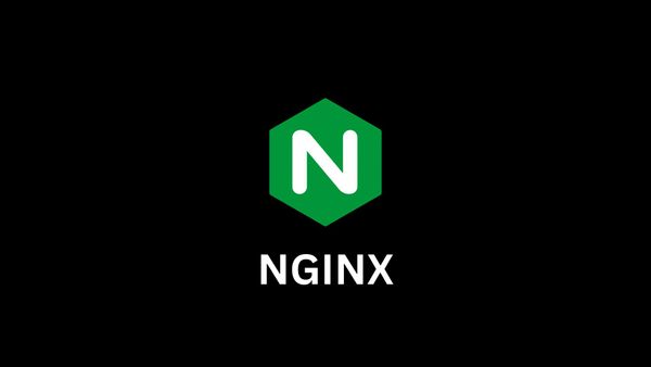 Testing NGINX config